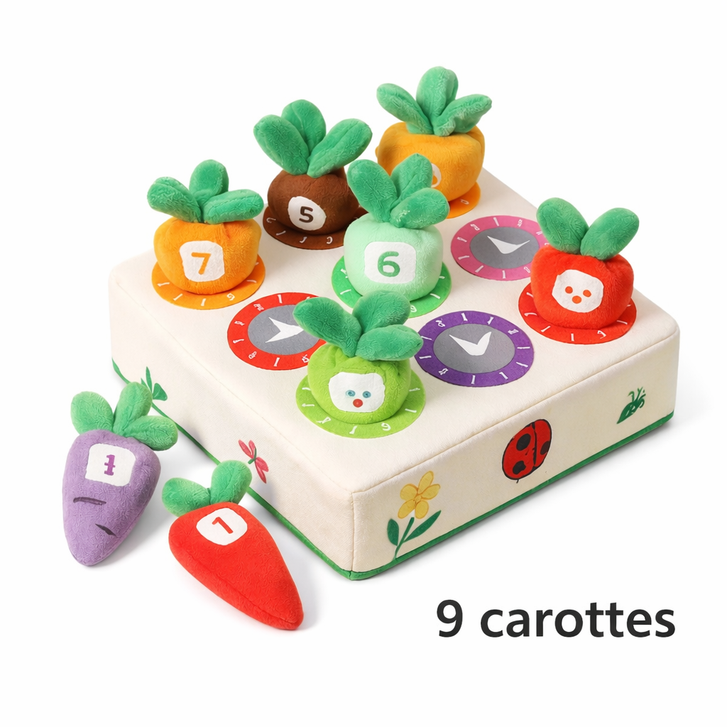 Jouet Montessori bébé carottes à trier 9 carottes jeu éducatif motricité fine