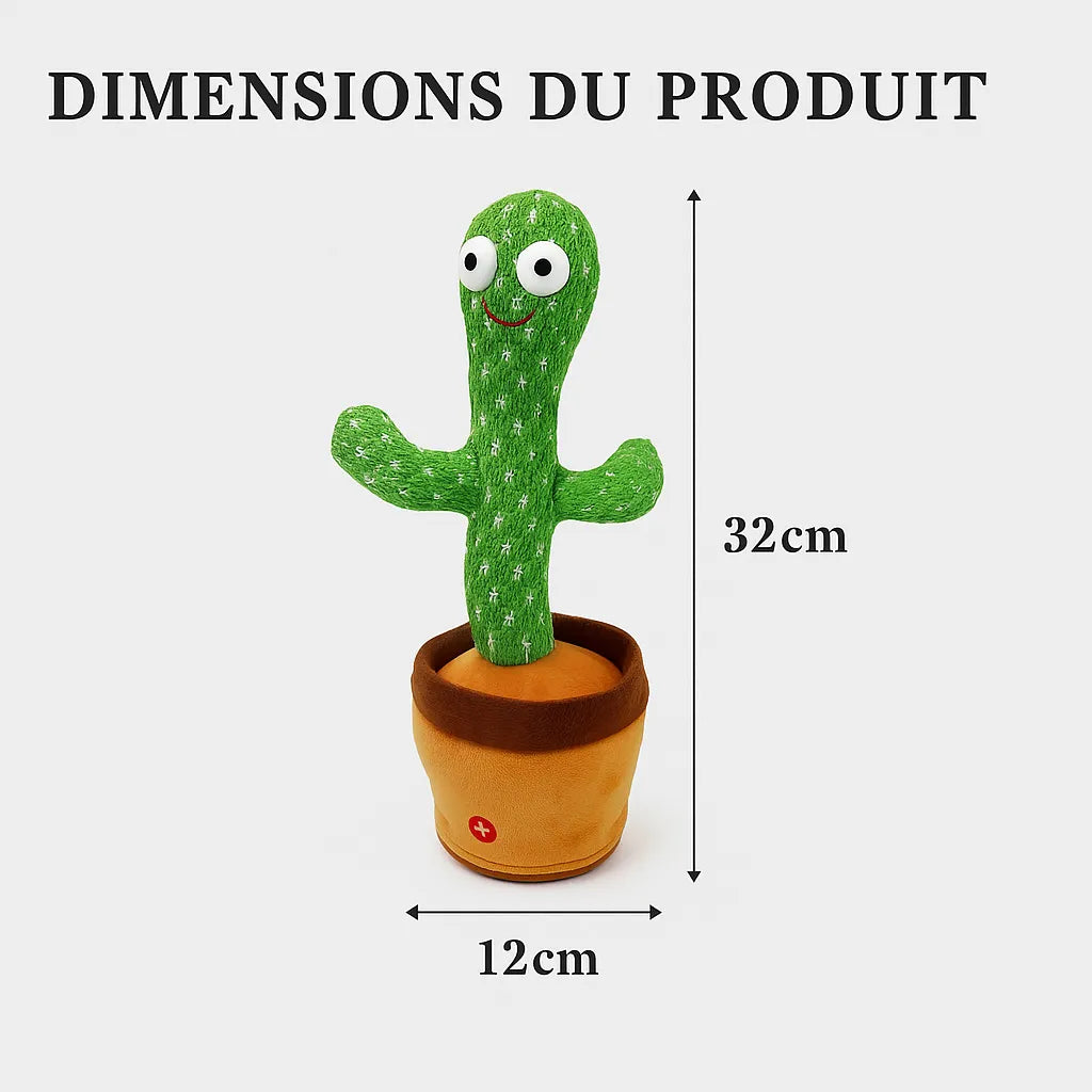 Dimension du cactus