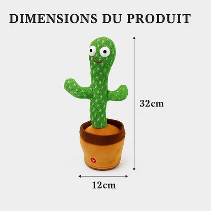 Dimension du cactus