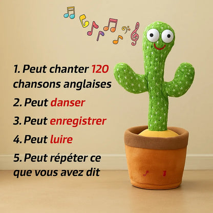 Image et description du cactus musical