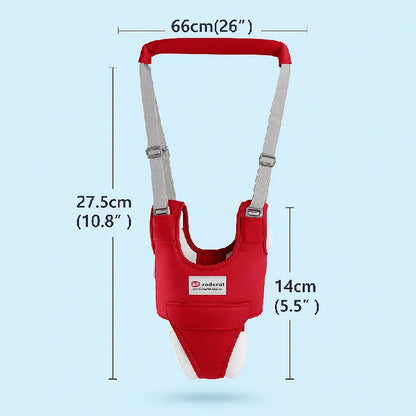 Dimensions détaillées du harnais de marche bébé ajustable