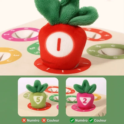 Jeu Montessori bébé carottes colorées apprentissage motricité fine
