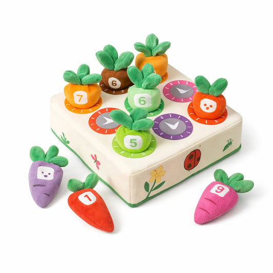 Jouet Montessori bébé carottes colorées tri et apprentissage