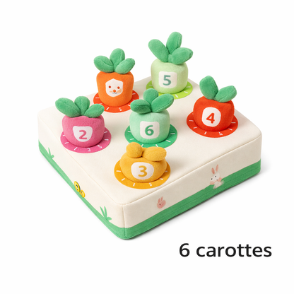 Jouet Montessori bébé carottes à trier 6 carottes jeu éducatif motricité