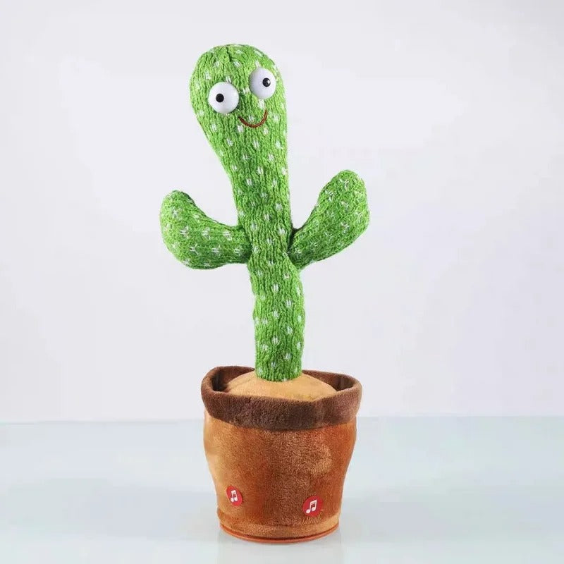 Cactus dansant et musical